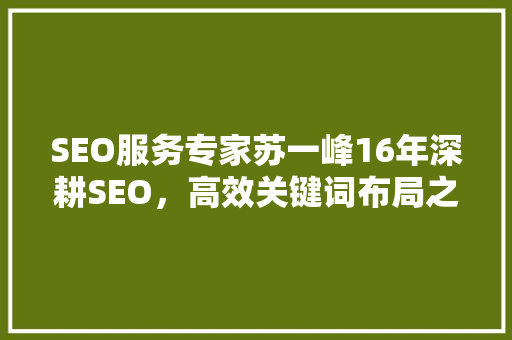 SEO服务专家苏一峰16年深耕SEO，高效关键词布局之路