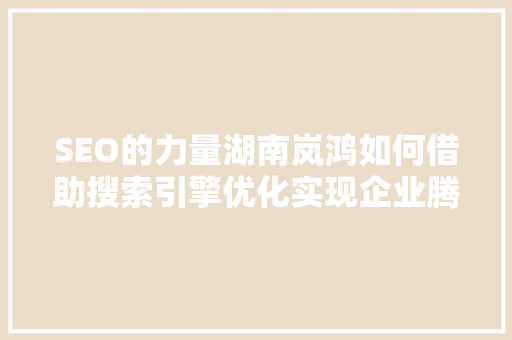 SEO的力量湖南岚鸿如何借助搜索引擎优化实现企业腾飞