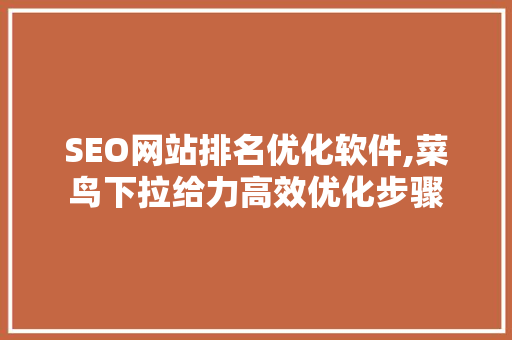 SEO网站排名优化软件,菜鸟下拉给力高效优化步骤