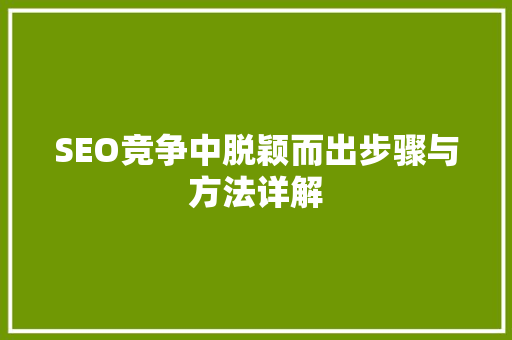 SEO竞争中脱颖而出步骤与方法详解