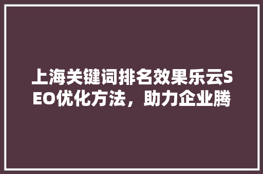 上海关键词排名效果乐云SEO优化方法，助力企业腾飞