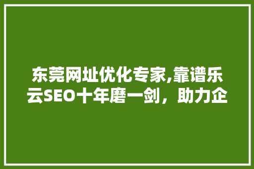 东莞网址优化专家,靠谱乐云SEO十年磨一剑，助力企业腾飞