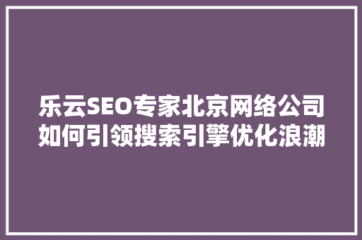 乐云SEO专家北京网络公司如何引领搜索引擎优化浪潮