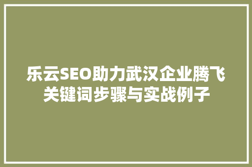 乐云SEO助力武汉企业腾飞关键词步骤与实战例子