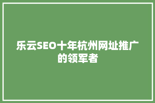 乐云SEO十年杭州网址推广的领军者