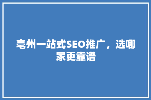 亳州一站式SEO推广，选哪家更靠谱