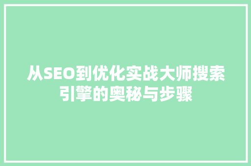 从SEO到优化实战大师搜索引擎的奥秘与步骤