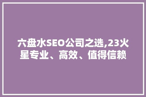 六盘水SEO公司之选,23火星专业、高效、值得信赖