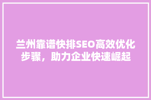 兰州靠谱快排SEO高效优化步骤，助力企业快速崛起
