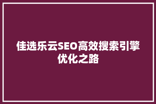 佳选乐云SEO高效搜索引擎优化之路
