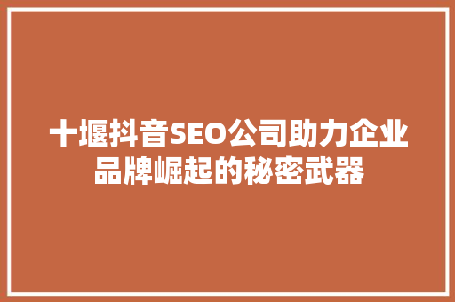 十堰抖音SEO公司助力企业品牌崛起的秘密武器