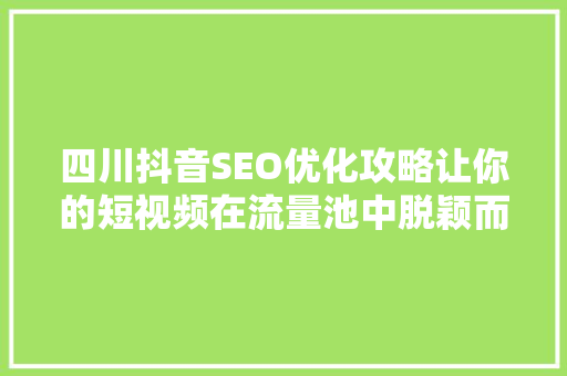 四川抖音SEO优化攻略让你的短视频在流量池中脱颖而出