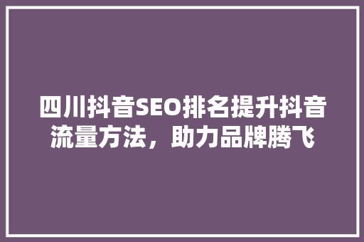 四川抖音SEO排名提升抖音流量方法，助力品牌腾飞
