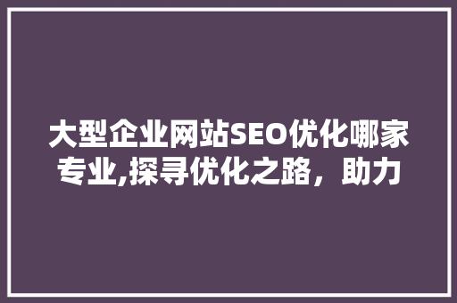 大型企业网站SEO优化哪家专业,探寻优化之路，助力企业腾飞