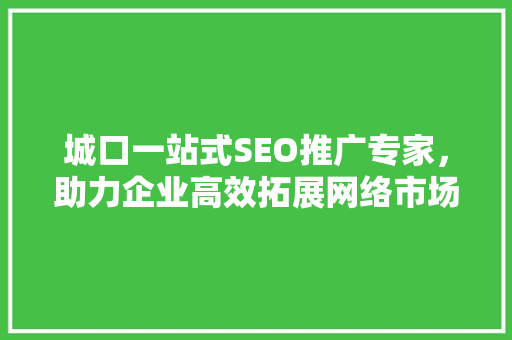 城口一站式SEO推广专家，助力企业高效拓展网络市场