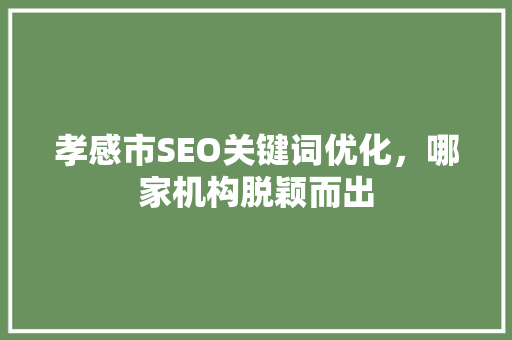 孝感市SEO关键词优化，哪家机构脱颖而出
