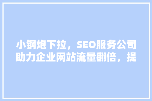 小钢炮下拉，SEO服务公司助力企业网站流量翻倍，提升品牌影响力