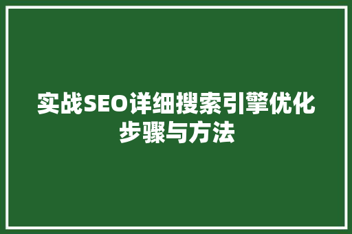 实战SEO详细搜索引擎优化步骤与方法