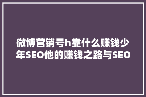 微博营销号h靠什么赚钱少年SEO他的赚钱之路与SEO方法