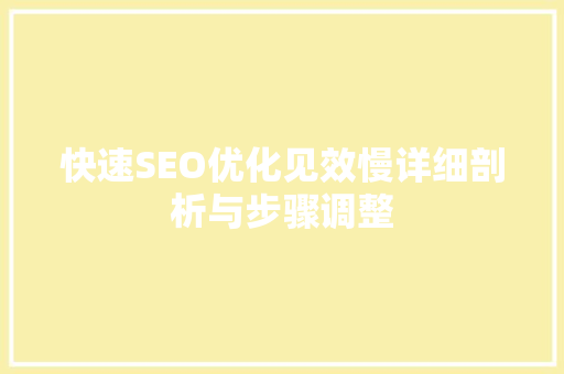 快速SEO优化见效慢详细剖析与步骤调整