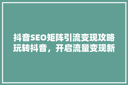 抖音SEO矩阵引流变现攻略玩转抖音，开启流量变现新篇章