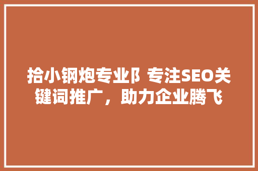 拾小钢炮专业阝专注SEO关键词推广，助力企业腾飞