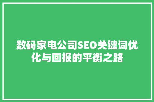 数码家电公司SEO关键词优化与回报的平衡之路