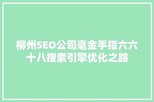 柳州SEO公司毫金手指六六十八搜索引擎优化之路