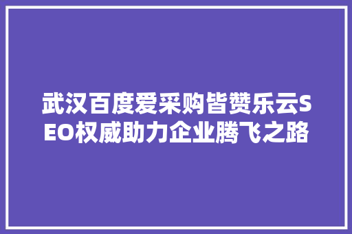 武汉百度爱采购皆赞乐云SEO权威助力企业腾飞之路