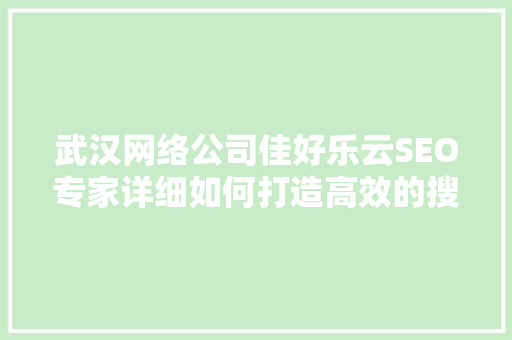 武汉网络公司佳好乐云SEO专家详细如何打造高效的搜索引擎优化步骤