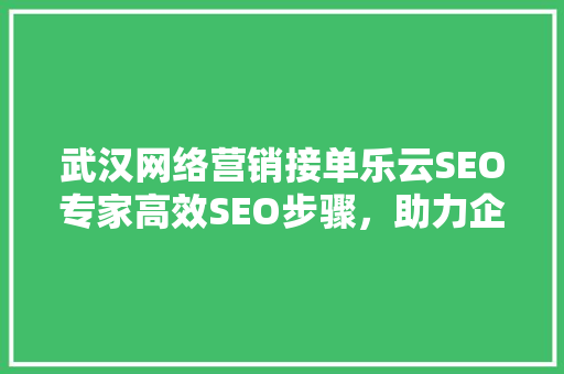 武汉网络营销接单乐云SEO专家高效SEO步骤，助力企业提升网络竞争力