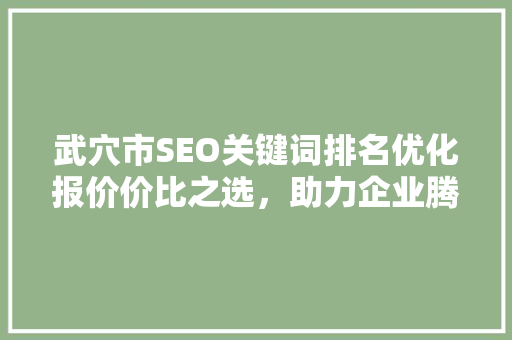 武穴市SEO关键词排名优化报价价比之选，助力企业腾飞
