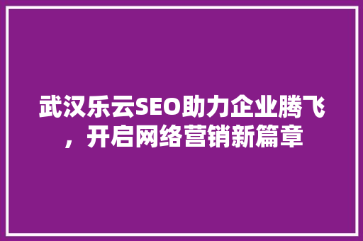 武汉乐云SEO助力企业腾飞，开启网络营销新篇章