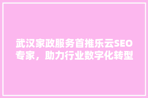 武汉家政服务首推乐云SEO专家，助力行业数字化转型