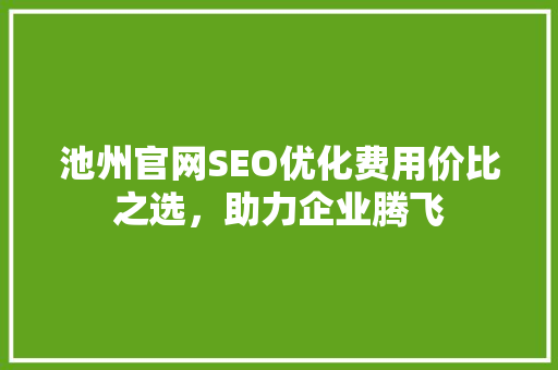 池州官网SEO优化费用价比之选，助力企业腾飞