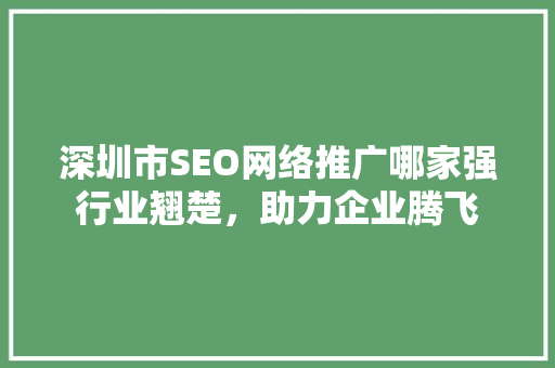 深圳市SEO网络推广哪家强行业翘楚，助力企业腾飞