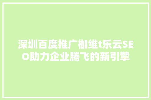 深圳百度推广枷维t乐云SEO助力企业腾飞的新引擎