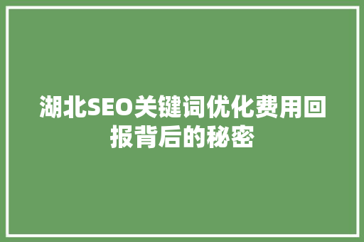 湖北SEO关键词优化费用回报背后的秘密