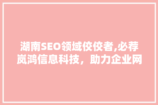 湖南SEO领域佼佼者,必荐岚鸿信息科技，助力企业网站优化脱颖而出