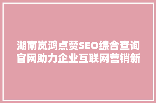 湖南岚鸿点赞SEO综合查询官网助力企业互联网营销新篇章