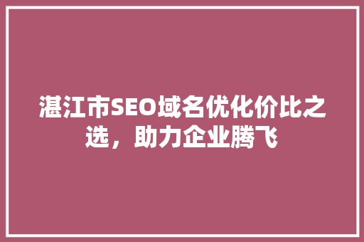 湛江市SEO域名优化价比之选，助力企业腾飞