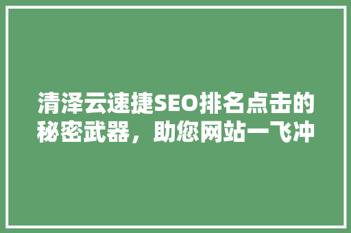 清泽云速捷SEO排名点击的秘密武器，助您网站一飞冲天