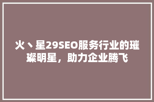 火丶星29SEO服务行业的璀璨明星，助力企业腾飞