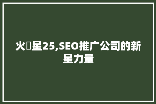 火乛星25,SEO推广公司的新星力量