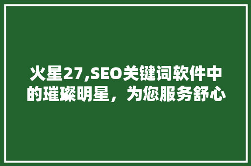 火星27,SEO关键词软件中的璀璨明星，为您服务舒心体验