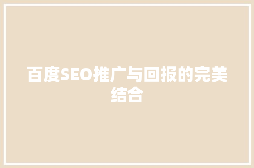 百度SEO推广与回报的完美结合