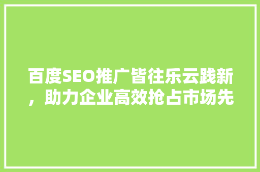 百度SEO推广皆往乐云践新，助力企业高效抢占市场先机