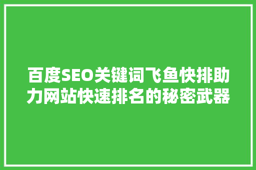 百度SEO关键词飞鱼快排助力网站快速排名的秘密武器