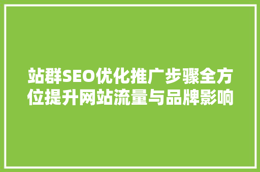 站群SEO优化推广步骤全方位提升网站流量与品牌影响力