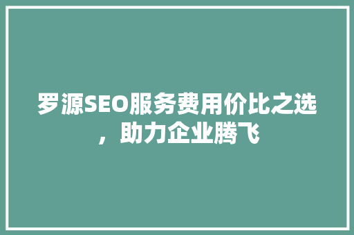 罗源SEO服务费用价比之选，助力企业腾飞